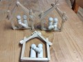 IMG_20231114_062741
