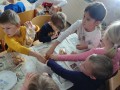 IMG_20231121_085954