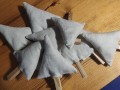 IMG_20231123_072556