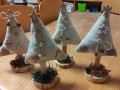 IMG_20231124_154937