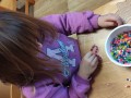 IMG_20231129_140822