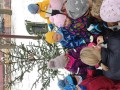 IMG_20231201_112318