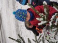IMG_20231201_112421