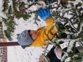 IMG_20231201_112641