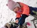 IMG_20231201_112847
