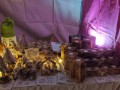 IMG_20231201_164432