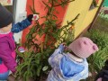 IMG_20231212_105209