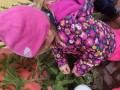 IMG_20231212_105324