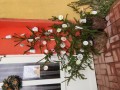 IMG_20231212_110352
