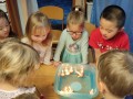 IMG_20231220_094649