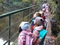 IMG-20231011-WA0079
