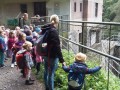IMG-20231011-WA0081
