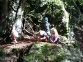 IMG-20231011-WA0095