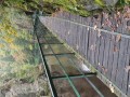 IMG_20231011_104615