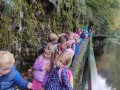 IMG_20231011_104850