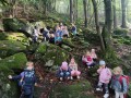 IMG_20231011_110653