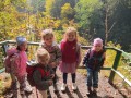 IMG_20231011_113433