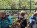 IMG_20231011_121503