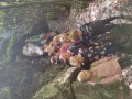 IMG_20231011_121911