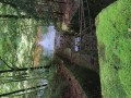 IMG_20231011_131052