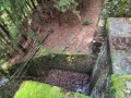 IMG_20231011_131119