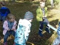 IMG-20231026-WA0004