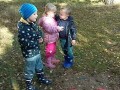 IMG-20231026-WA0009