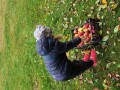IMG_20231016_111544