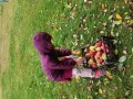 IMG_20231016_111550