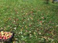 IMG_20231016_112658