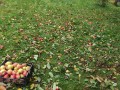 IMG_20231016_112711