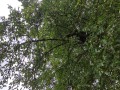 IMG_20231016_112729