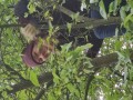 IMG_20231016_112741