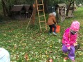 IMG_20231016_112934