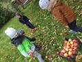 IMG_20231016_112946