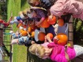 IMG_20231030_101505