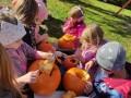 IMG_20231030_102052