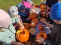 IMG_20231030_103312