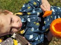 IMG_20231030_104913