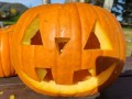 IMG_20231030_112522