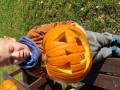 IMG_20231030_112732