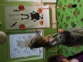 IMG_20231031_092521