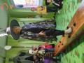 IMG_20231031_092921