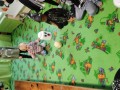 IMG_20231031_095118