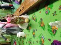 IMG_20231031_095253