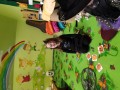 IMG_20231031_104309