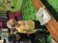 IMG_20231031_105501