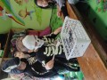 IMG_20231031_110935