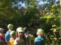 IMG-20240513-WA0179