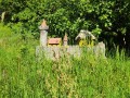 IMG_20240513_103425